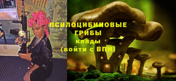 не бодяженный Алзамай